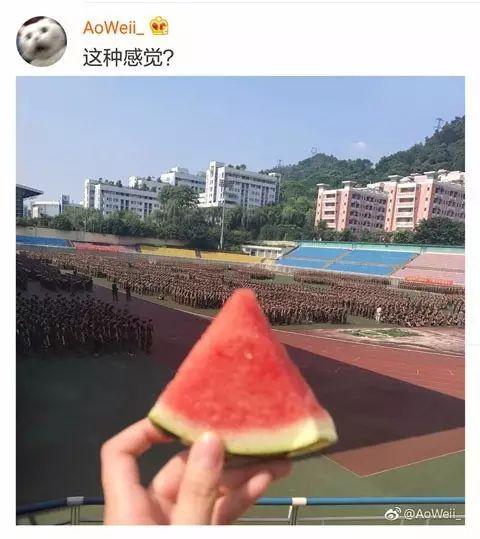 学姐喜欢吃瓜,揭秘她那充满惊喜的美食世界