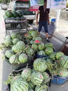 微山两城吃瓜事件,一场引发热议的民间纠纷