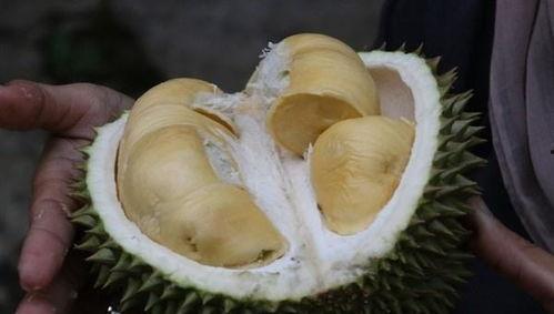 榴莲和哈密瓜能一起吃吗,兼容性探讨与食用建议