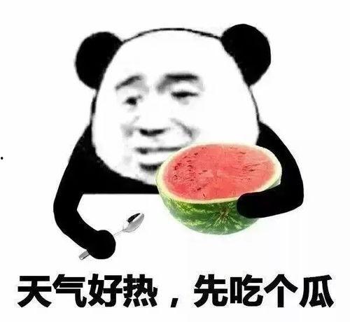 内参吃瓜
