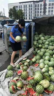 商丘吃瓜小伙视频大全,趣味横生的日常瞬间集锦